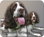 Mousepad Englischer Springer Spaniel